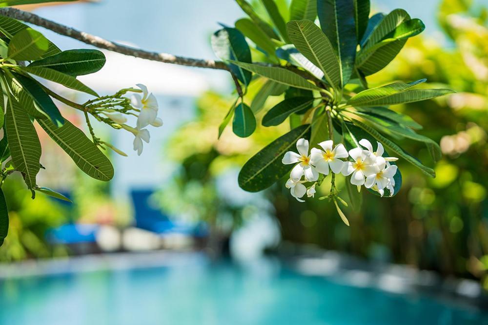 Coco Island Villa 会安 外观 照片